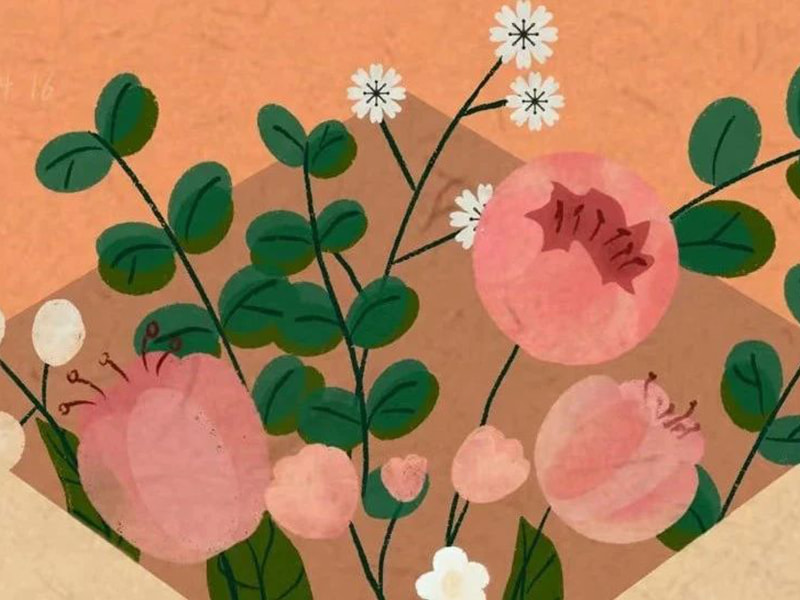 จดหมายถึงครอบครัวของ Jufeng