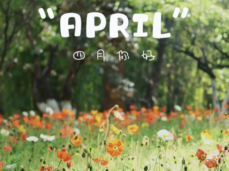 คำอวยพรวันเกิด丨สุขสันต์วันเกิดให้กับผู้ที่เกิดในเดือนเมษายน